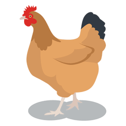 Henne gefiedertes Tier PNG-Design