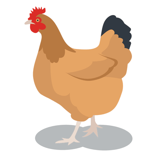 Hen feathered animal PNG Design