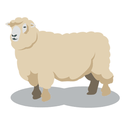 Animal de lã de ovelha