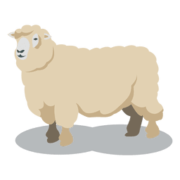 Animal de lana de oveja Diseño PNG