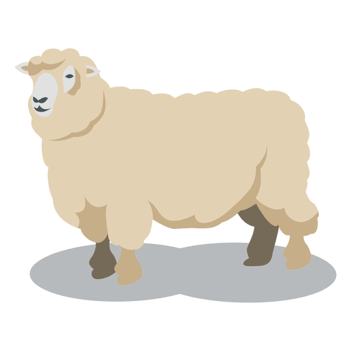 Sheep wool animal PNG Design