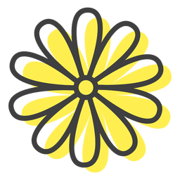 Margarita de inflorescência de flores Desenho PNG