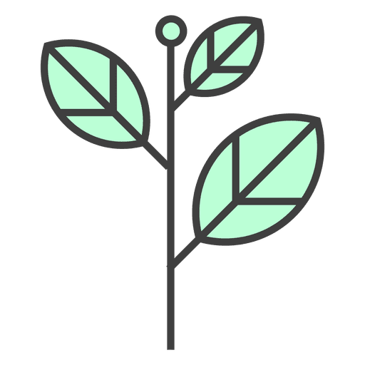 Green leaves stem  Plant  PNG Design