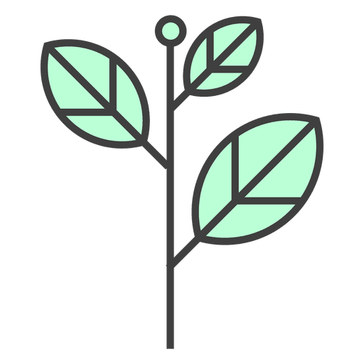 Get Tumblr Plantas Verdes Png Pics