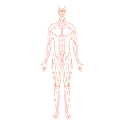 Hombre de anatomía de músculos Diseño PNG