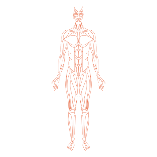 Homem de anatomia muscular Desenho PNG