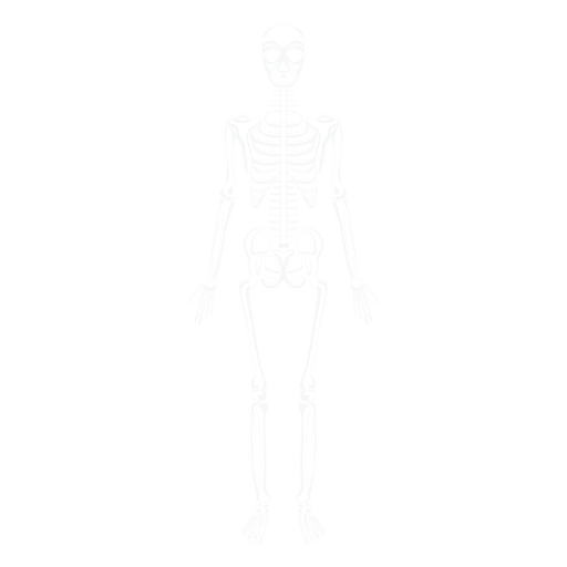 Huesos del cuerpo humano del sistema esquel?tico Diseño PNG