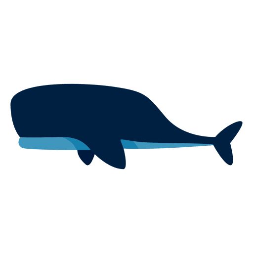 Grande animal oceano de baleias