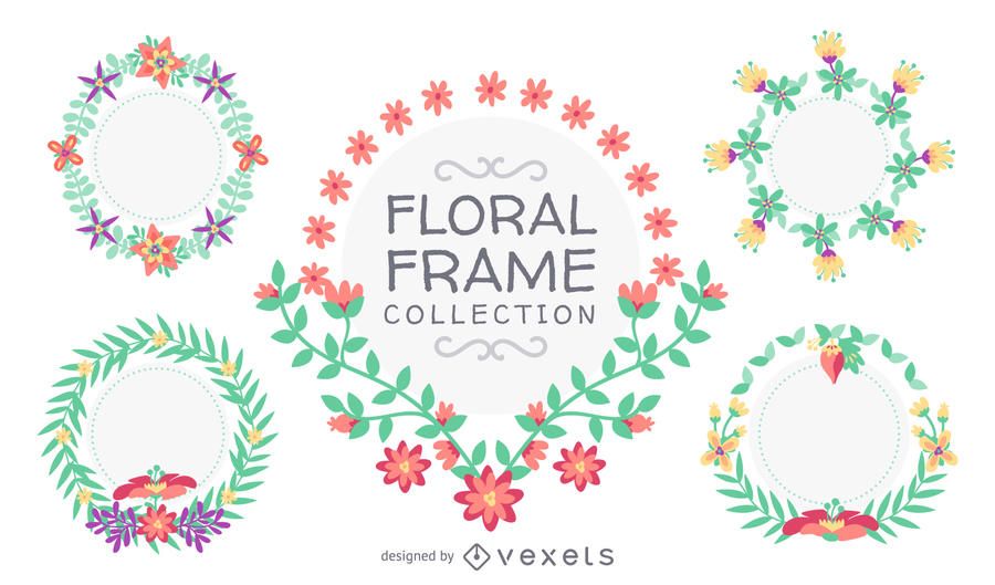 Mão desenhada coleção quadro floral Mão desenhada coleção quadro floral