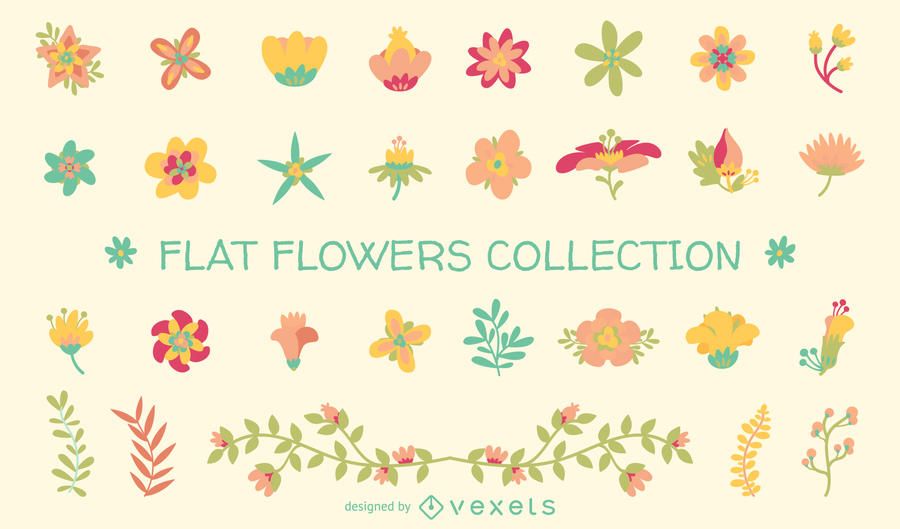 Collection of flat flower illustrations Collection of flat flower illustrations
