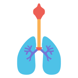 Pulmões humanos respiração oxigênio corpo humano Desenho PNG