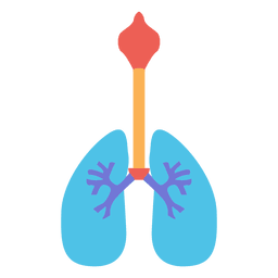 Pulmones humanos respiración oxígeno cuerpo humano