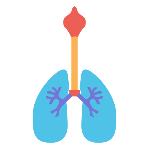 Human lungs respiration oxygen human body PNG Design