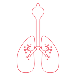 Órgano de los pulmones humanos Diseño PNG