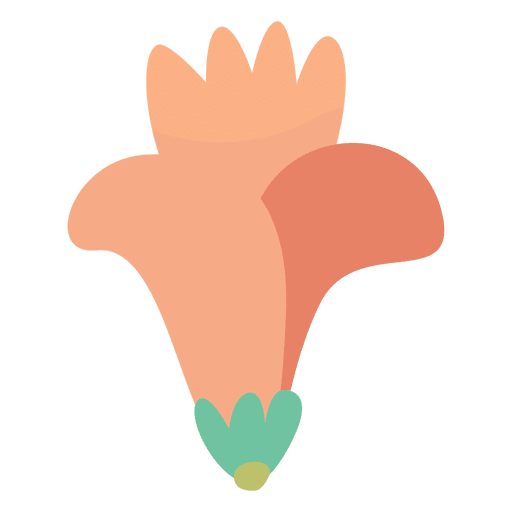 Blumenillustrationshand gezeichnet PNG-Design