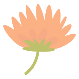 Doodle de flor pastel plana Transparent PNG