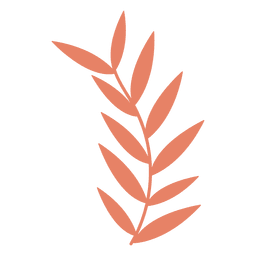 Dibujo de ilustración de hojas Diseño PNG