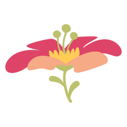 Ilustración de flor rosa Diseño PNG
