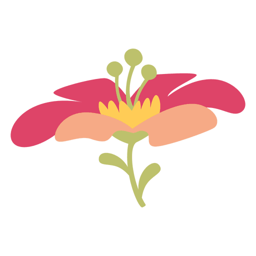 Ilustración de flor rosa Diseño PNG