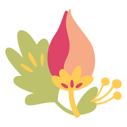 Flat flower doodle illustration plant PNG Design