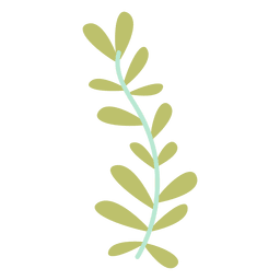 Leaves illustration PNG Design