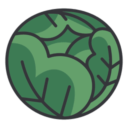 Cabbage color icon Transparent PNG