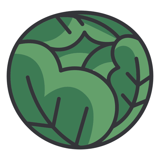 Cabbage color icon - Transparent PNG SVG vector file