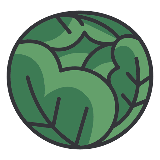 Cabbage color icon