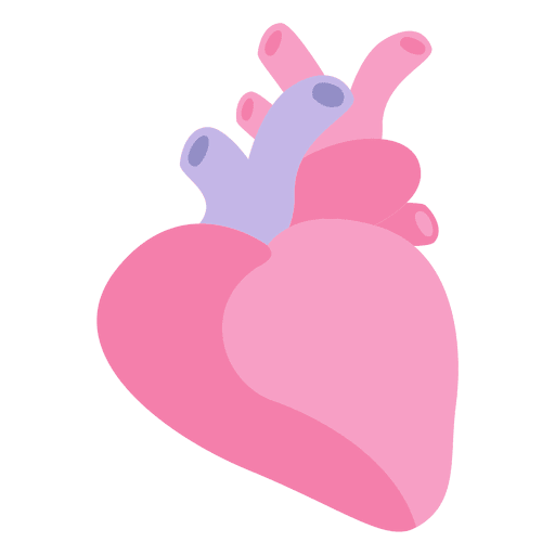 Herz menschliches Organ PNG-Design