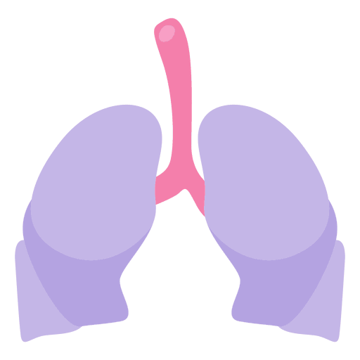 PULMONES