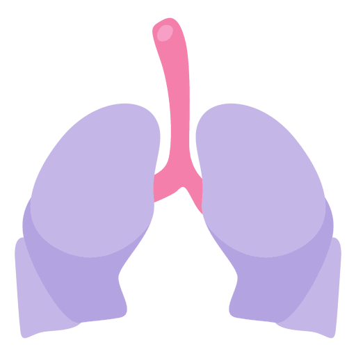 Lungs human organ PNG Design