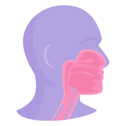 Mundanatomie PNG-Design