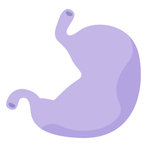 Stomach human organ PNG Design