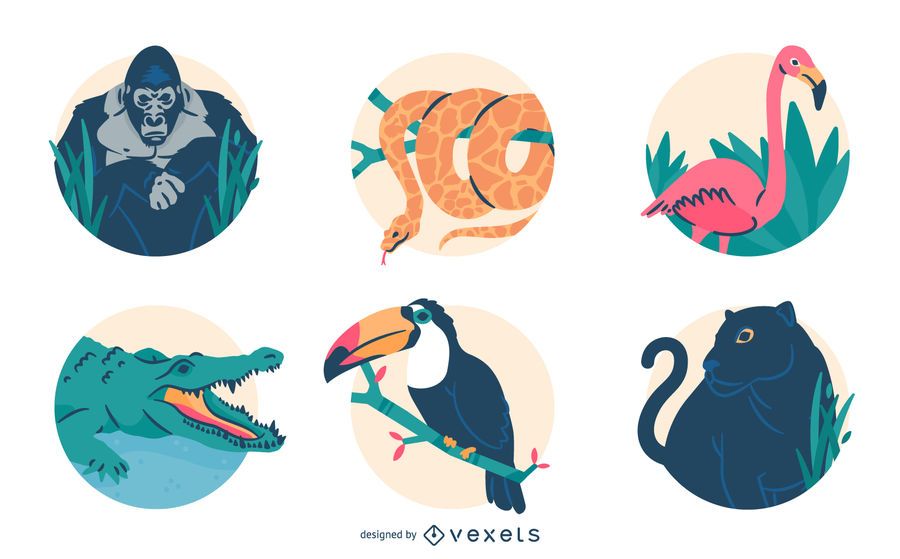 Conjunto de ilustração de animais da selva Conjunto de ilustração de animais da selva