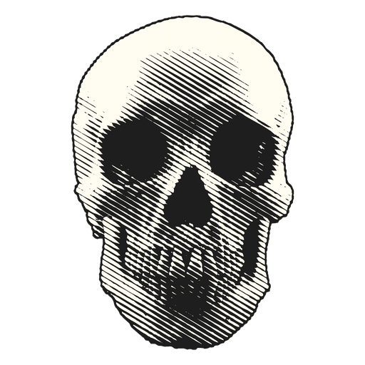 Halloween illustration skull PNG Design