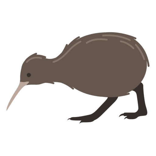 Kiwi Vogel Apteryx PNG-Design