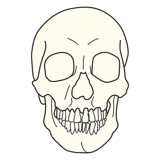 Ilustração médica do crânio Desenho PNG