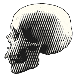 Cráneo de ilustración de halloween de miedo Diseño PNG