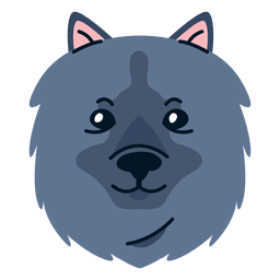 Ilustración de keeshond Diseño PNG