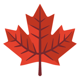 Ilustración de hoja de arce Diseño PNG