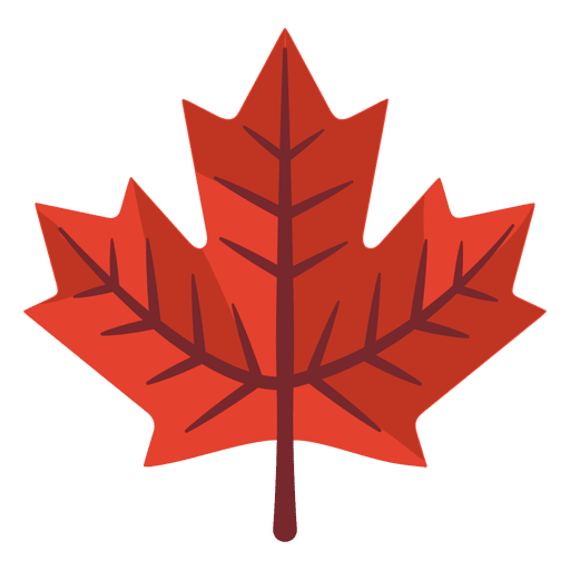 Maple leaf illustration  PNG Design