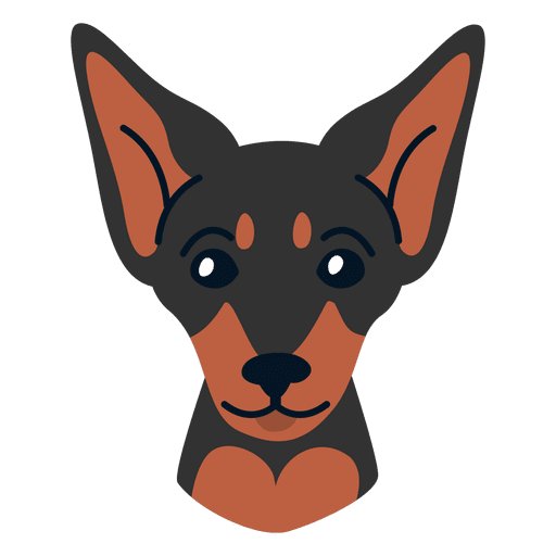 Ilustración de pinscher miniatura Diseño PNG