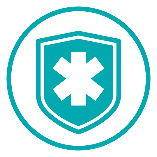 Medical cross shield icon