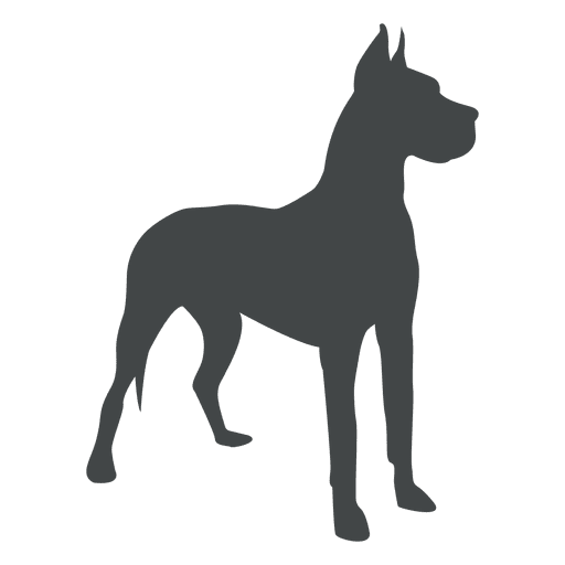 Alert dog silhouette posing