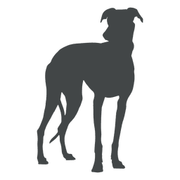 Silhueta de cachorro grande posando Desenho PNG