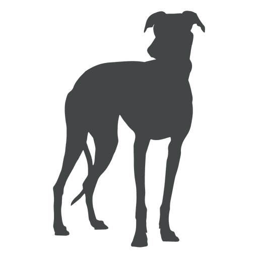 Download Big dog silhouette posing - Transparent PNG & SVG vector file