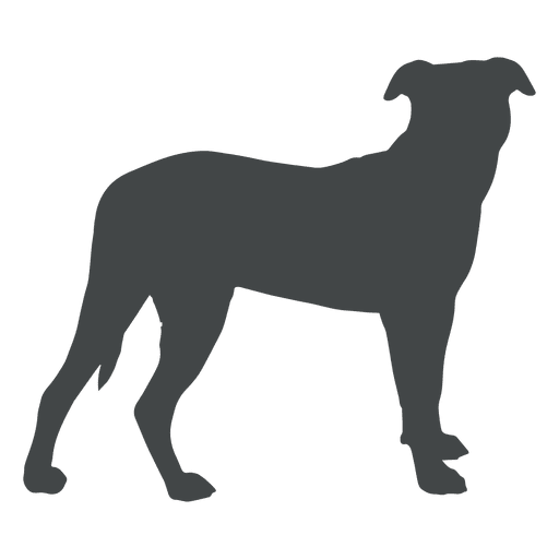 Download Dog Silhouette Posture Side Transparent Png Svg Vector File PSD Mockup Templates