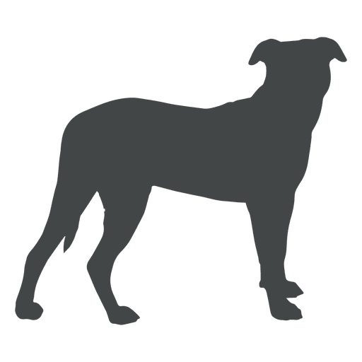 Lado de postura de silueta de perro