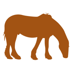 Orange Pferdeschattenbild PNG-Design