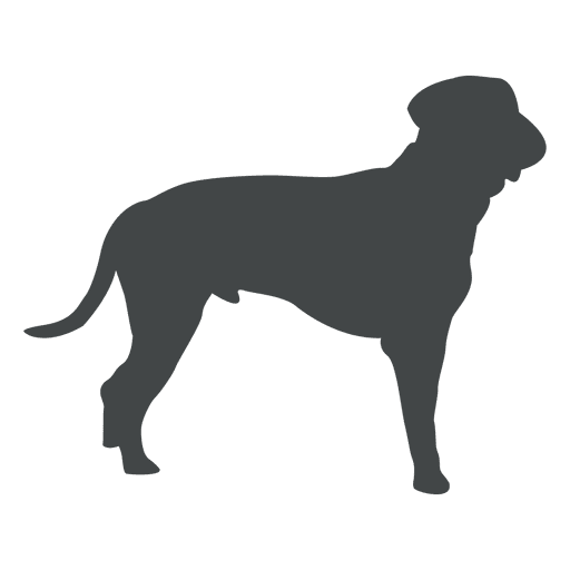 Old dog silhouette posing